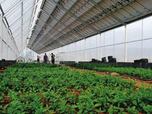 楚宏農業 專業打造昆明溫室大棚，助力高原特色農業發展