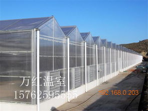 溫室大棚選購指南 薄膜、玻璃與生態玻璃溫室的對比與推薦