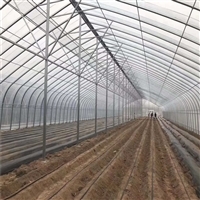 連棟薄膜溫室大棚 結(jié)構(gòu)解析、價格因素與大棚薄膜選型指南